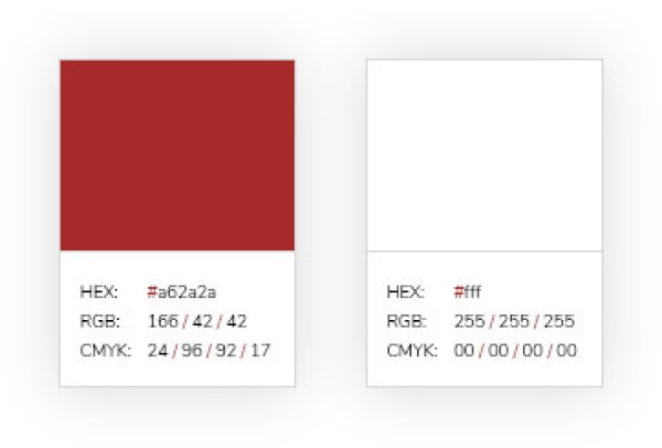 Wat if my organization does not have a house style yet?