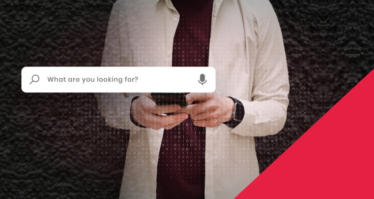 What Are the Panda and Penguin Algorithms?